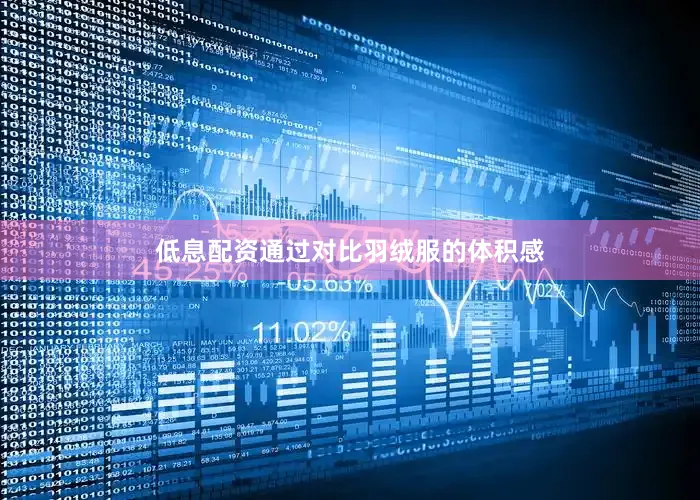 低息配资通过对比羽绒服的体积感