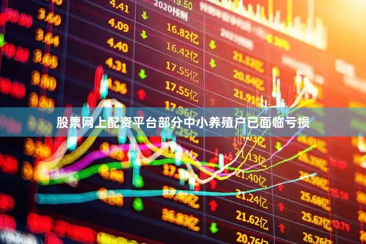 股票网上配资平台部分中小养殖户已面临亏损